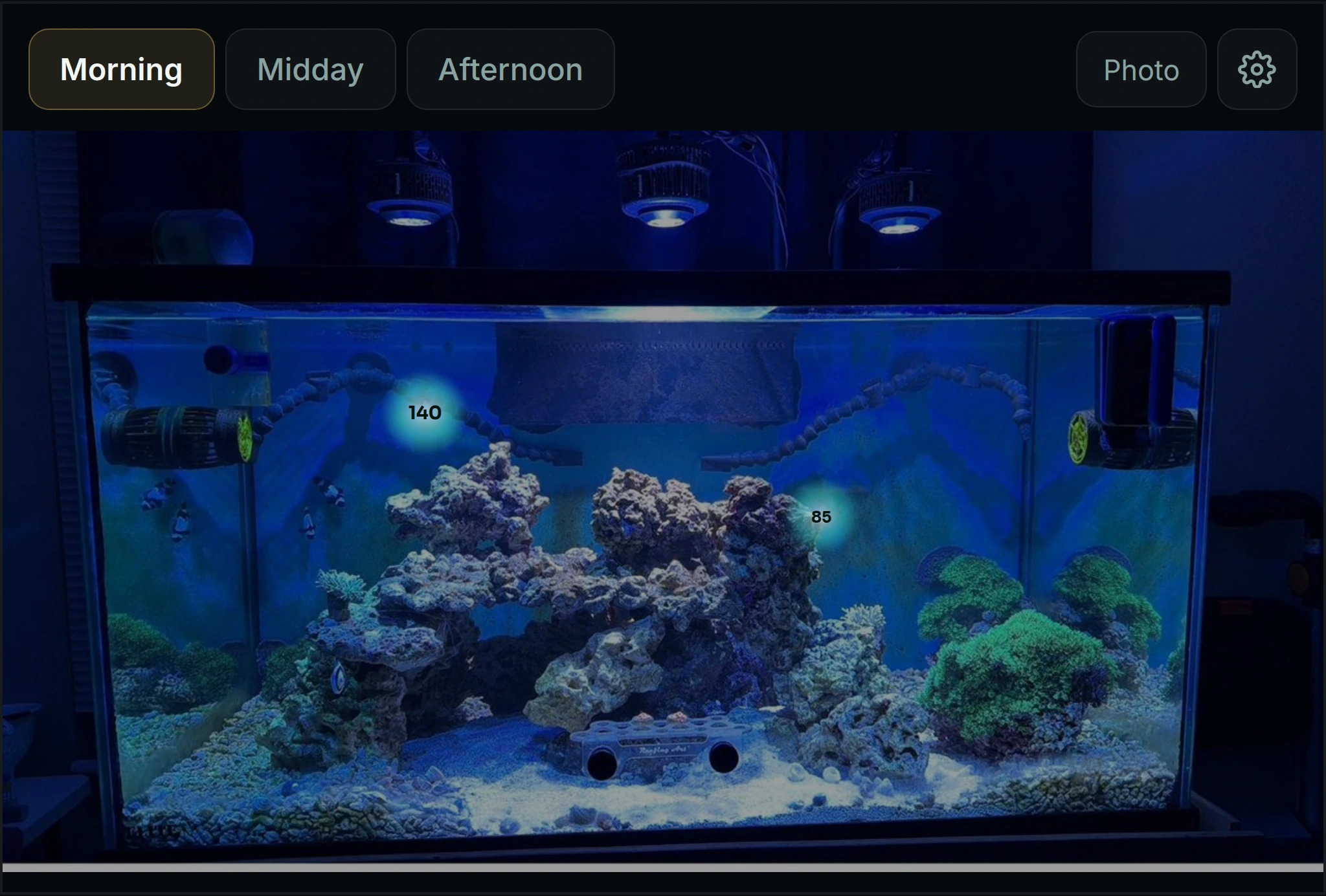 A photograph of a reef tank with PAR readings marked as glowing spots at coral locations